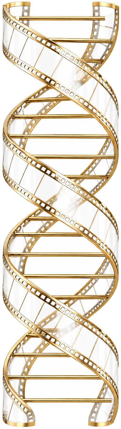 A double helix built from two ribbons of glass film strip with gold edges